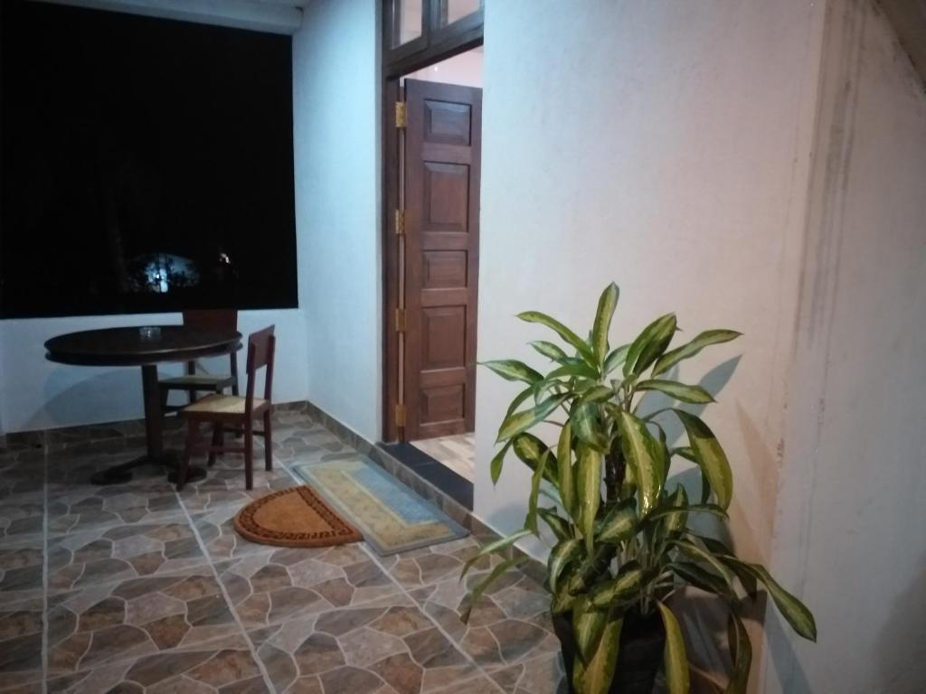 米瑞莎Hotel La Felicita的桌子和门的房间里的植物