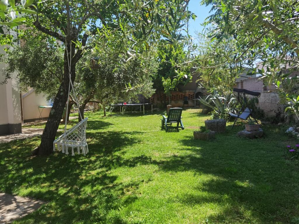 班约勒Zelena oaza 300 metara od mora的一个带树和椅子的院子