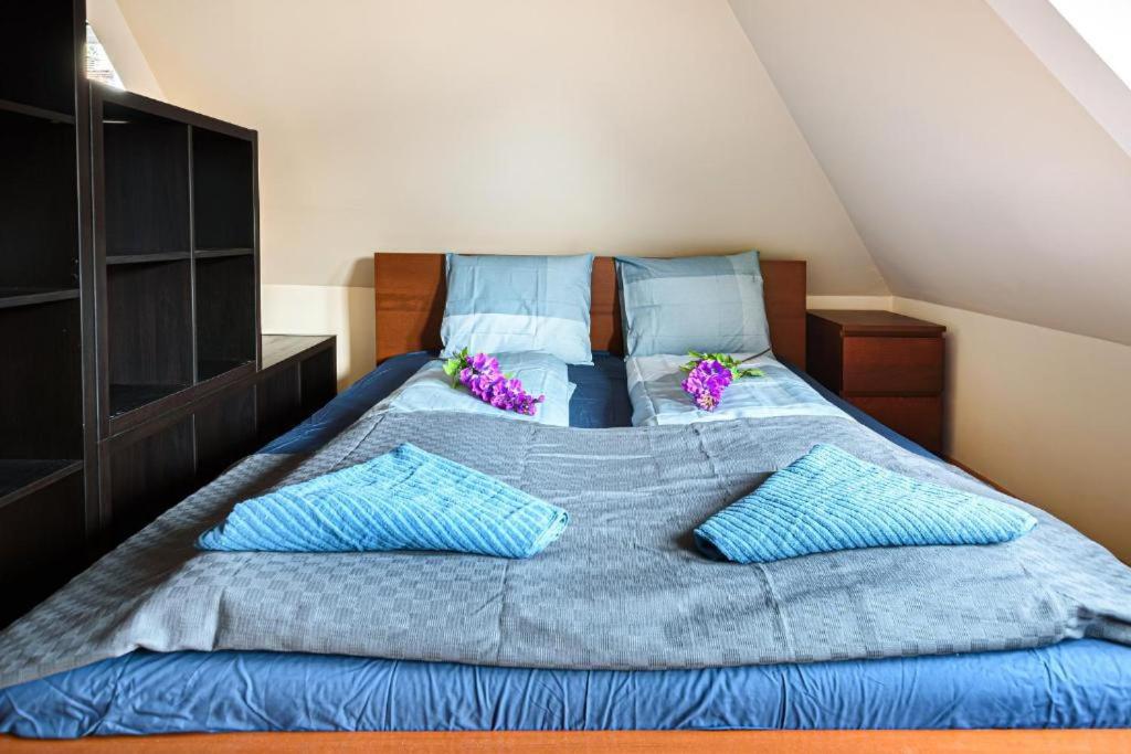 布达佩斯High Class Residence Leopold的一张配有蓝色床单和蓝色枕头的大床