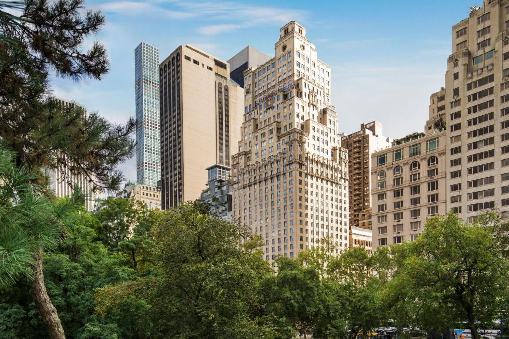 纽约纽约中央公园丽思卡尔顿酒店的享有城市天际线和高楼的景色