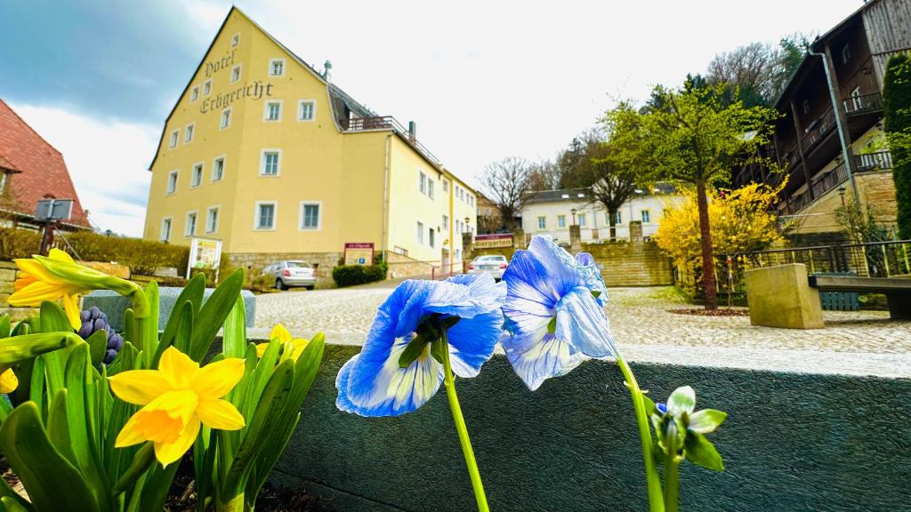 巴特尚道尔布格里赫特酒店的建筑前的蓝色花朵