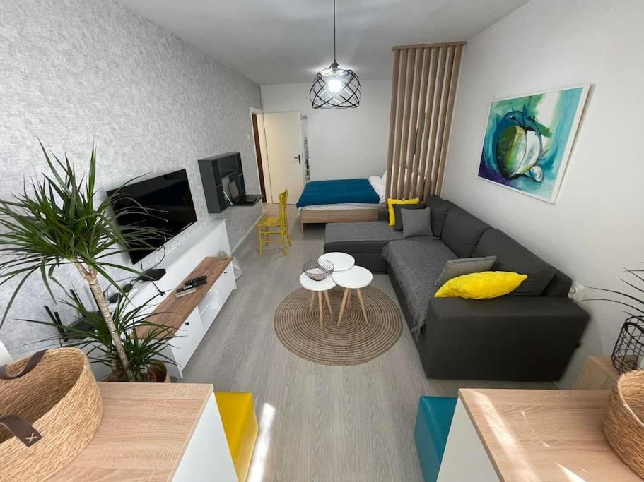 斯科普里Urban 1 - Apartment for modern nomads的客厅配有沙发和桌子