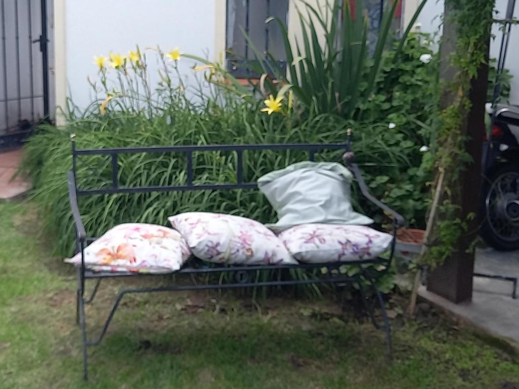 萨尔塔Los Aceres的院子内带枕头的长凳