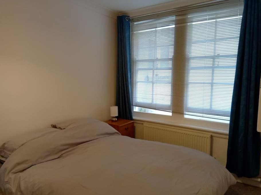 贝克斯希尔Lovely 1-bedroom flat within minutes from the beach!的一间卧室配有床和蓝色窗帘的窗户