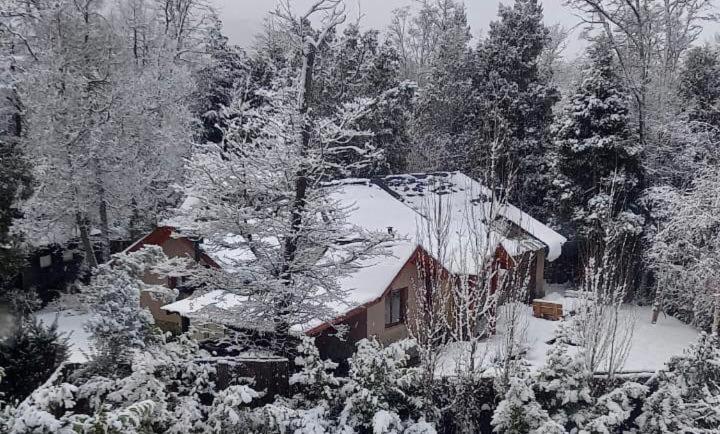 拉安戈斯图拉镇CASA AZUL LIMAY VILLA LA ANGOSTURA的森林旁的雪地房子