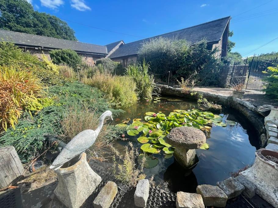 Llangwm-isafSTONE BUILT BARN in a beautiful RURAL setting的花园中一个有白鸟的池塘