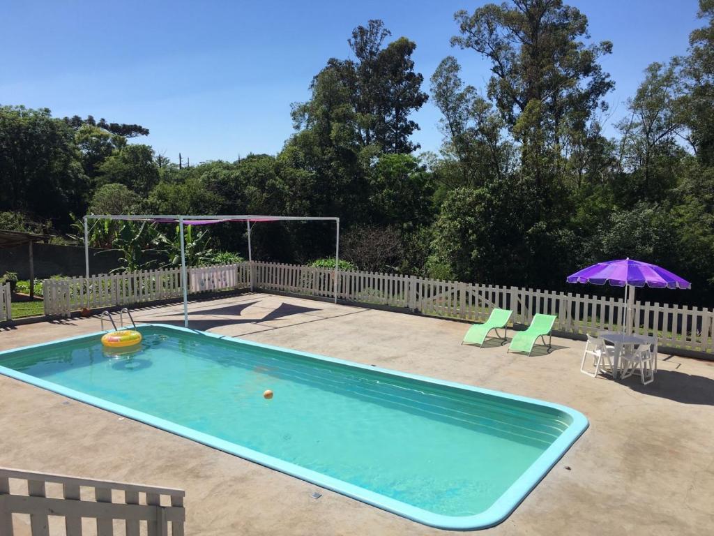 坎普莫朗Pousada Recriare的游泳池配有紫色雨伞、两把椅子和紫色雨伞