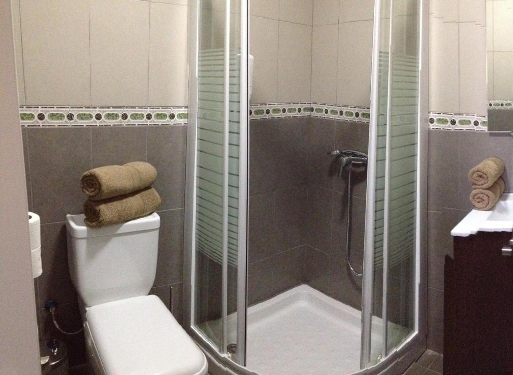 阿里纳加阿里纳加普拉亚酒店的带淋浴、卫生间和盥洗盆的浴室