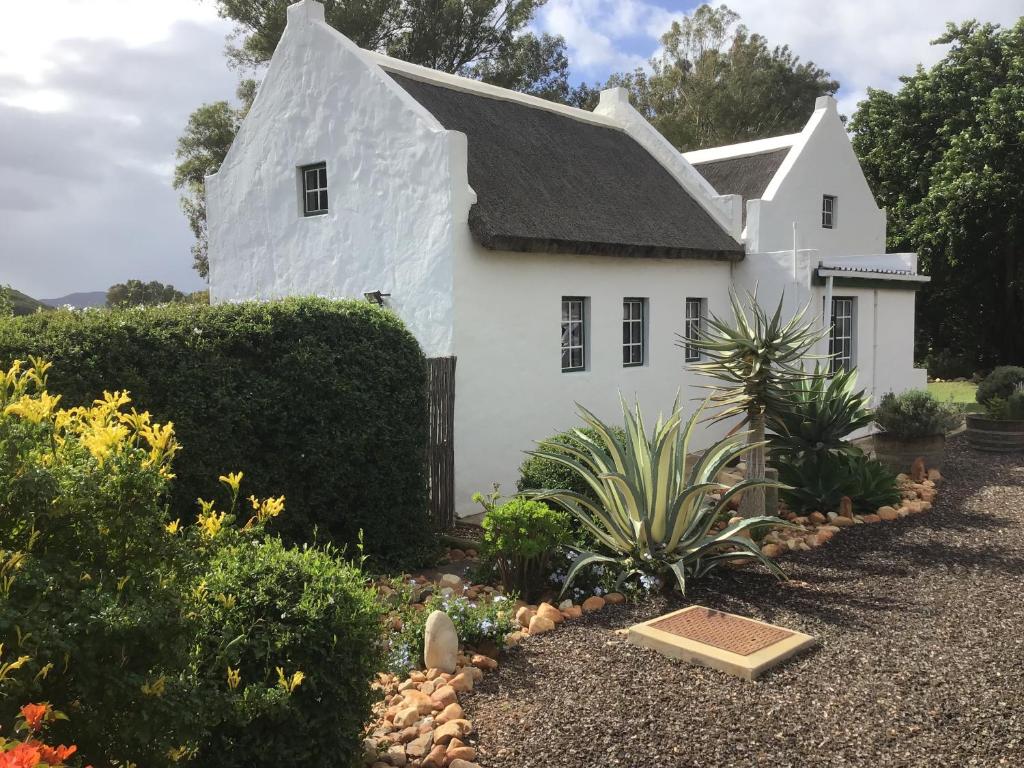 麦格雷戈Plum Tree Cottage的前面有植物的白色房子