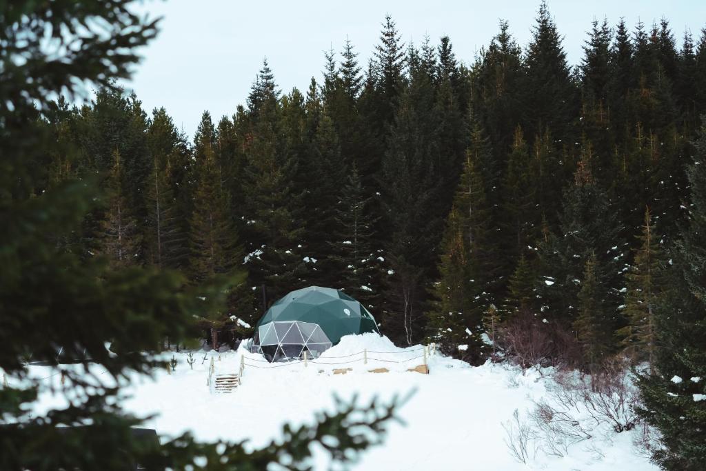 塞尔福斯Golden Circle Domes - Glamping Experience的森林旁的雪地帐篷