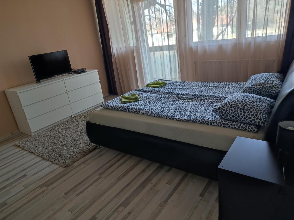 格德勒Palota Apartman的一间卧室配有一张床和一个带电视的梳妆台