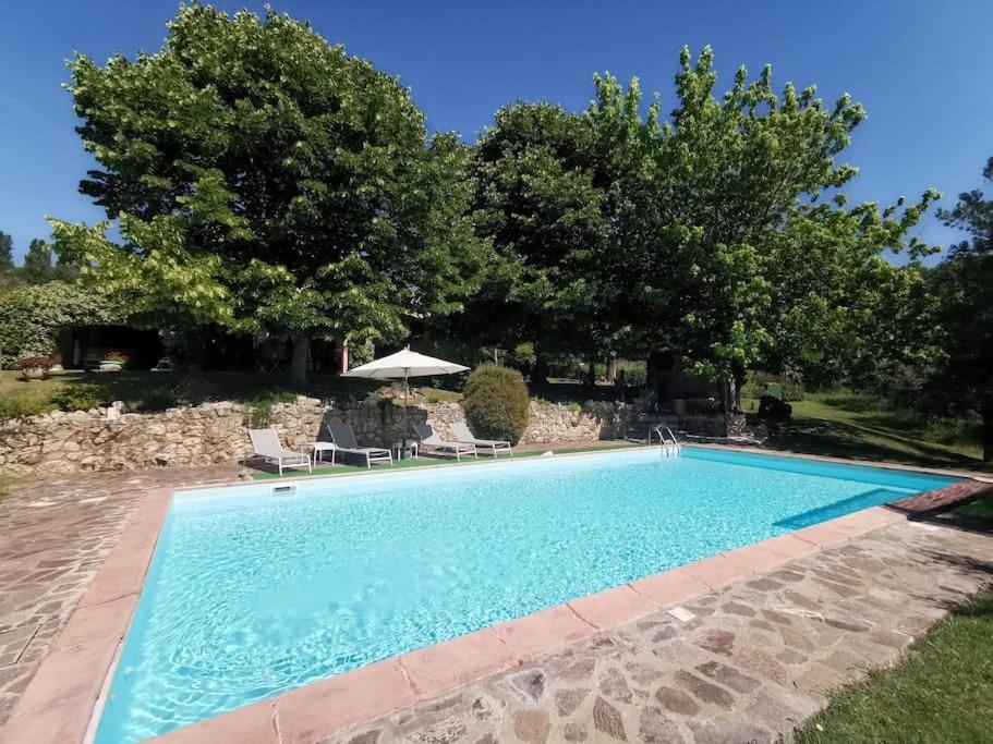 Penna in TeverinaMuralto - 5 Bedroom Villa with Panoramic Pool的一个带椅子和树木的大型游泳池