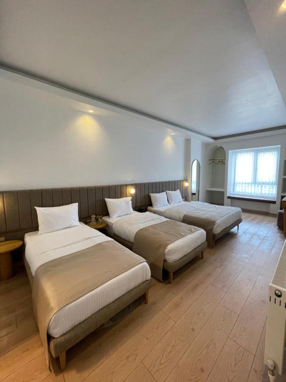 ArnavutköyMeshk Airport Hotel的酒店客房设有三张床和窗户。