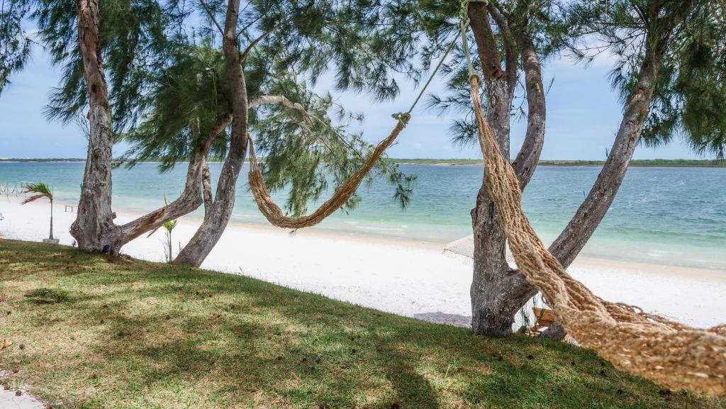 日若卡-迪热里科阿科阿拉villa del sole lagoa的一片树木繁茂的海滩,一片大海