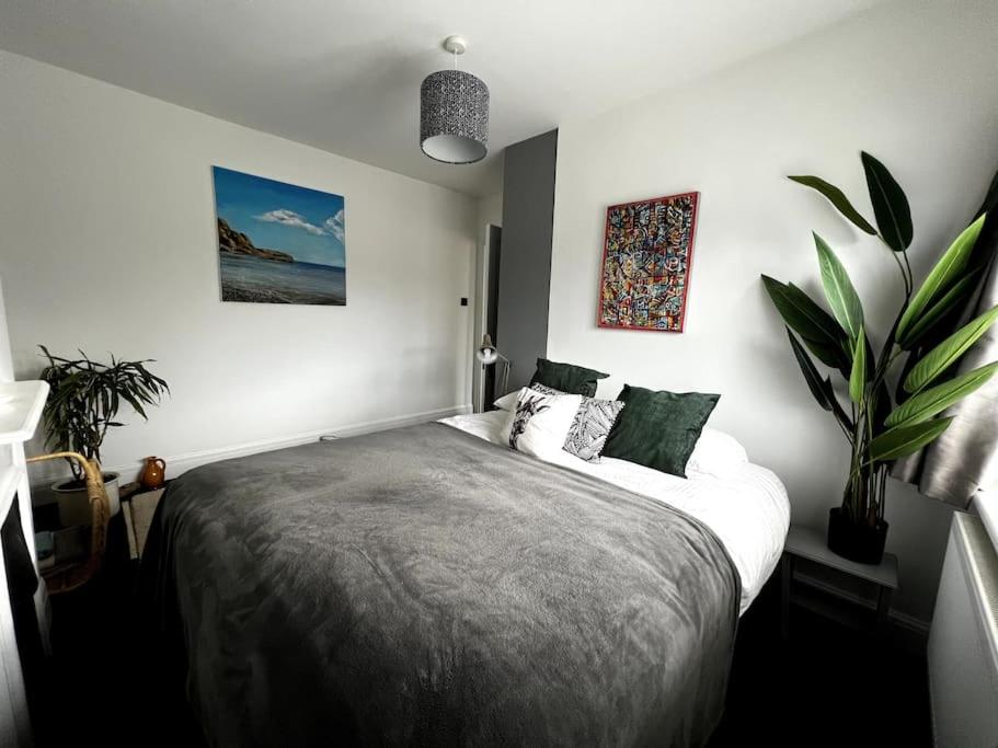 奇切斯特Warm and cosy city centre home near train station的一间卧室配有一张床和盆栽植物