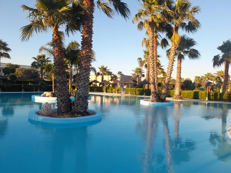 圣维托诺曼欧亚希德尔维希尔度假酒店的度假村内棕榈树游泳池