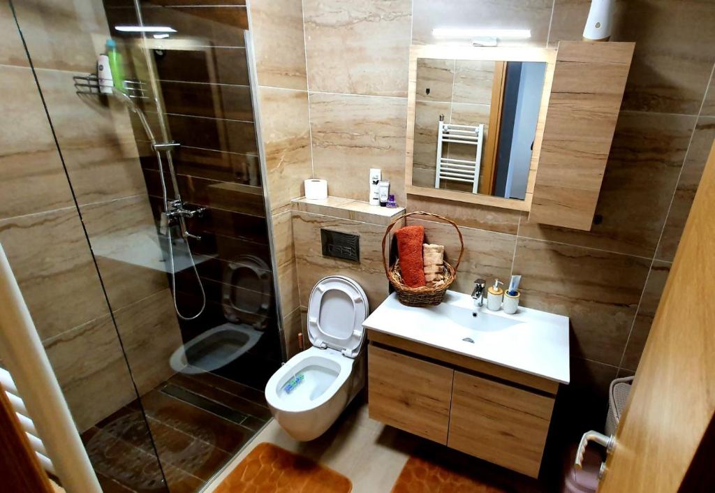 Donje MladiceApartman Stan ,Istocno Sarajevo 26的浴室配有卫生间、淋浴和盥洗盆。