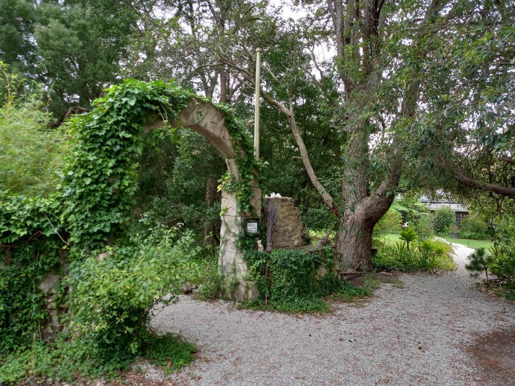 普利登堡湾Holt Hill的树旁花园的拱门