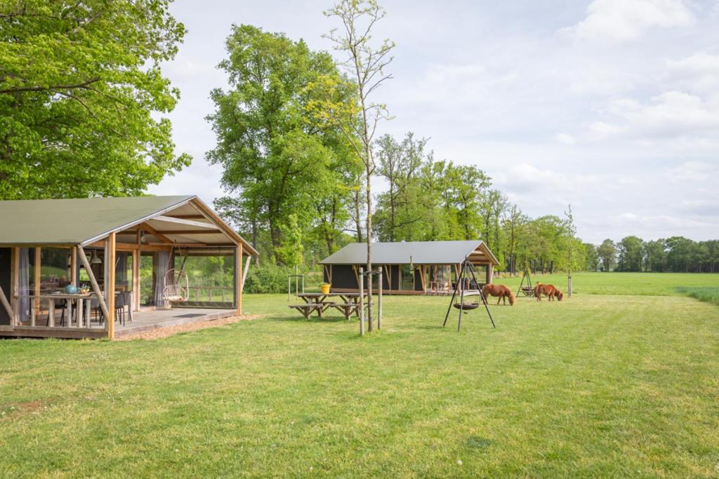 哈克斯卑尔根Landrijk De Reesprong boerderij的后方马场上的小屋