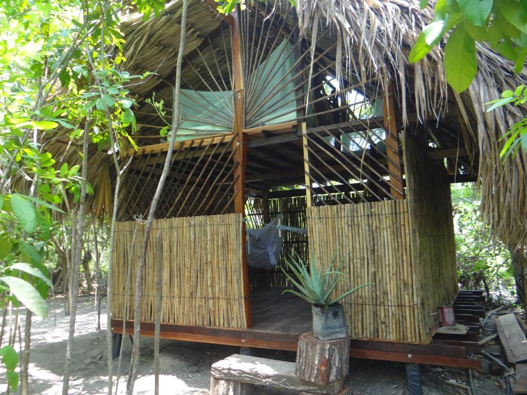San OnofreEco-Camping Mango Feliz Rincón del Mar的茅草屋顶树屋