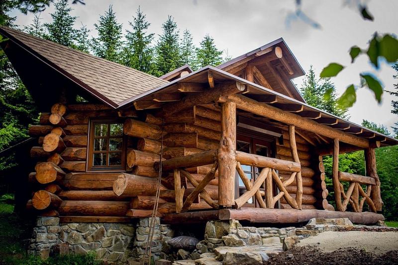 斯基希德尼萨Forest House exclusive的小木屋设有屋顶和窗户