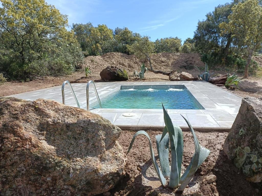 马德里El Escondite de La Caprichosa的一座位于庭院内的游泳池,里面拥有岩石和仙人掌