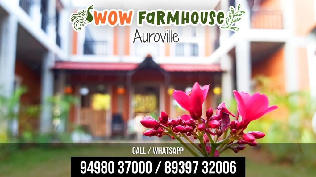 黎明之村Wow Farm House & Resort near Pondicherry的一座房子前面的粉红色花瓶