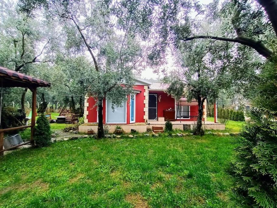 bungalov ve göl kenarina kurulmuş sahil evi.的绿色草地的院子里的红色房子
