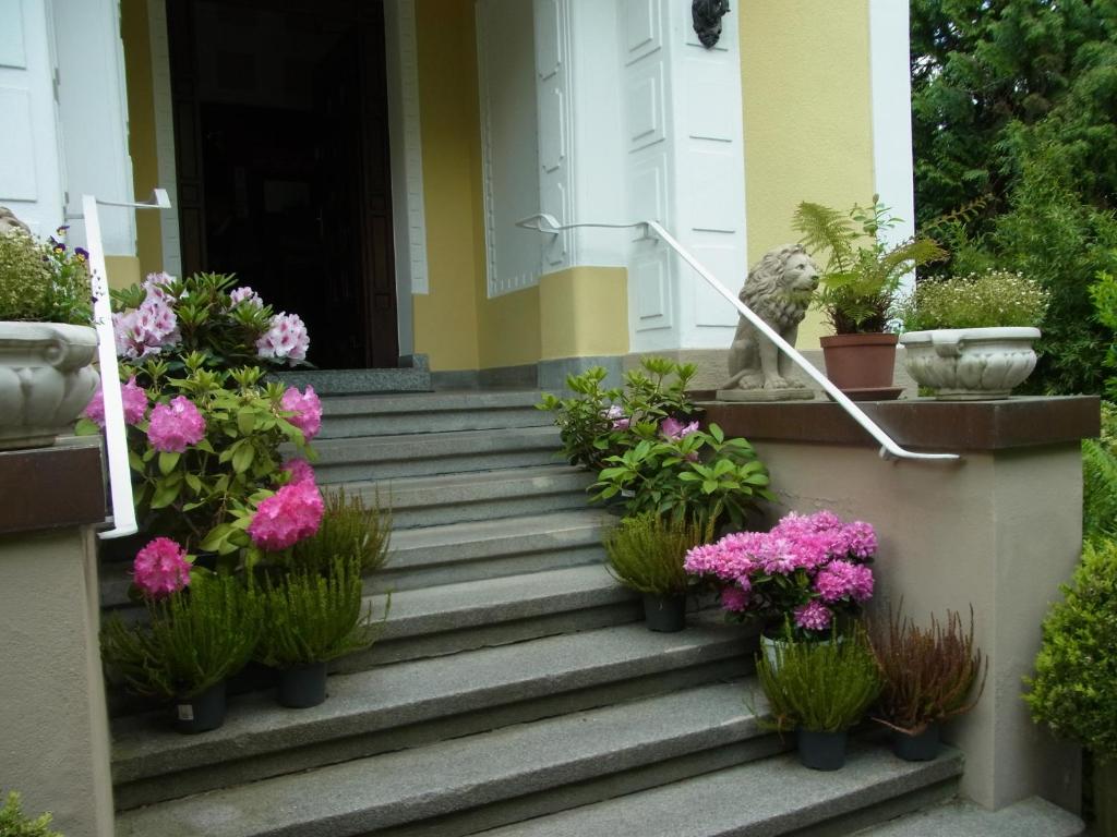 海尔布隆公园别墅酒店的房屋楼梯上种有盆栽植物的门廊