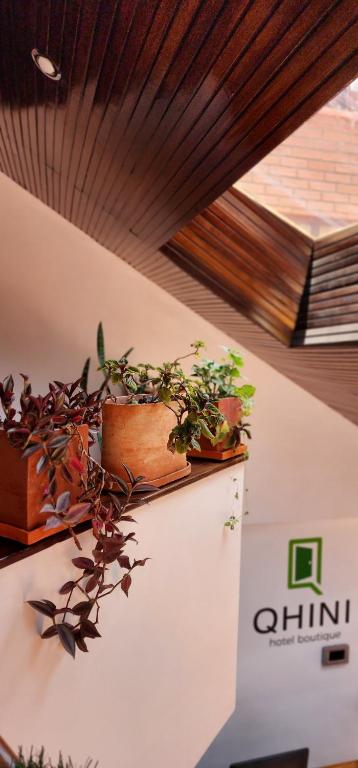 拉巴斯基尼精品酒店的两株盆栽植物坐在冰箱顶上
