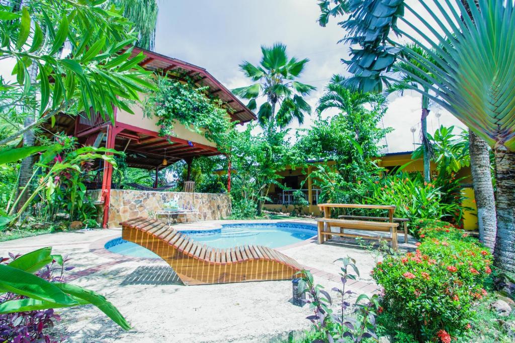 圣卡洛斯A Piece of Paradise的一个带2个长椅和游泳池的庭院