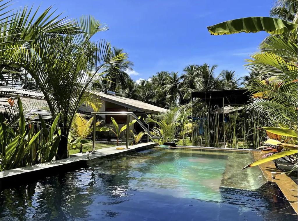本托塔Red Coconut Villa的棕榈树屋前的游泳池