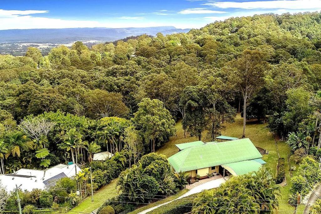 NinderryNoosa hinterland acreage close to the beach的享有绿色屋顶房屋的空中景致