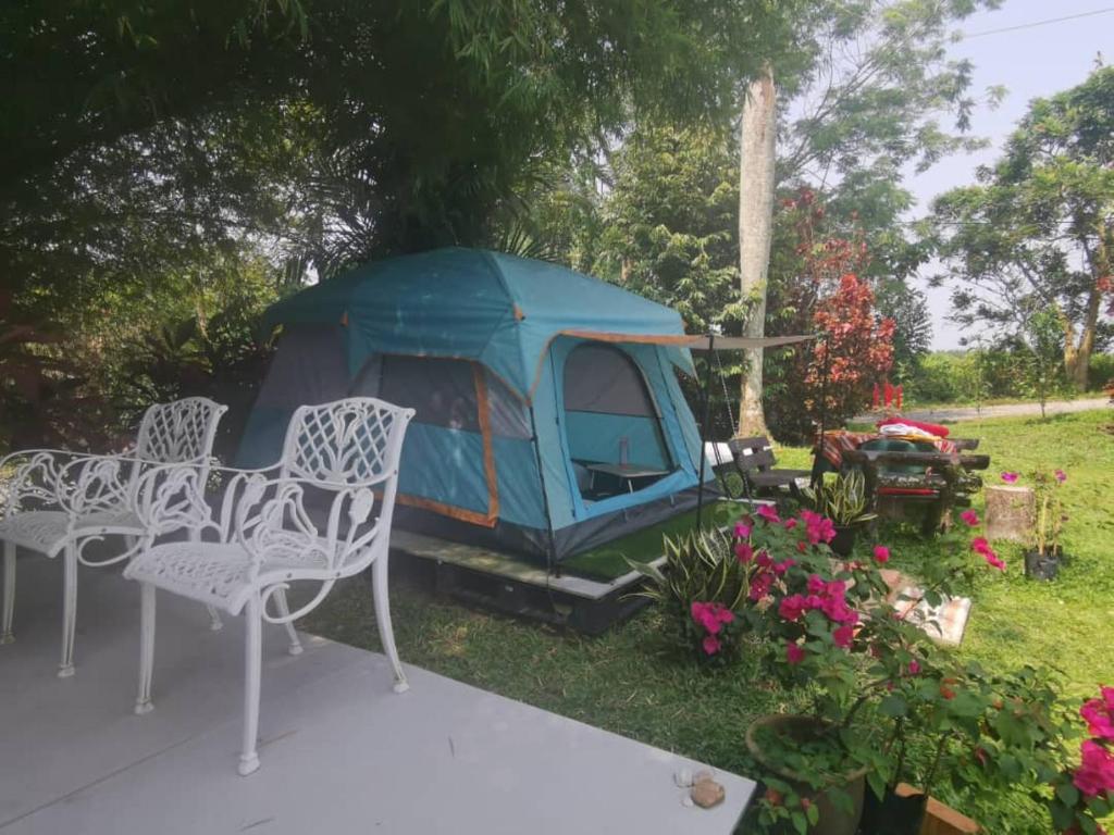 怡保Eco Resort Beverly Hills的庭院里的帐篷,配有椅子和鲜花