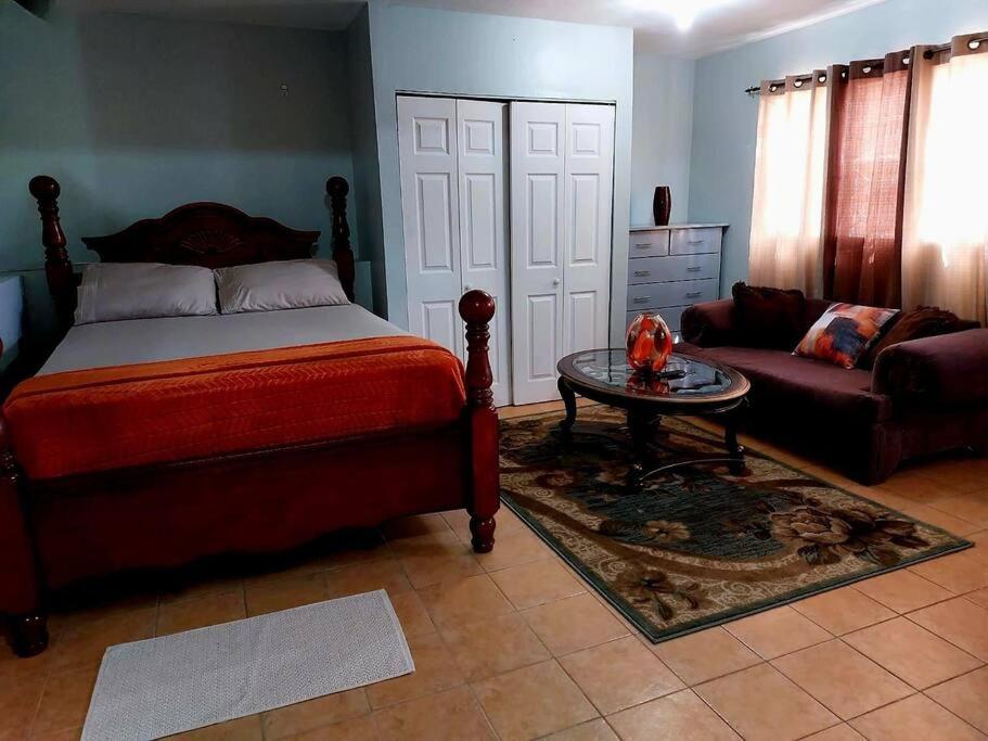 曼德维尔Comfort Cottage at the Grove的一间卧室配有一张床、一张桌子和一张沙发