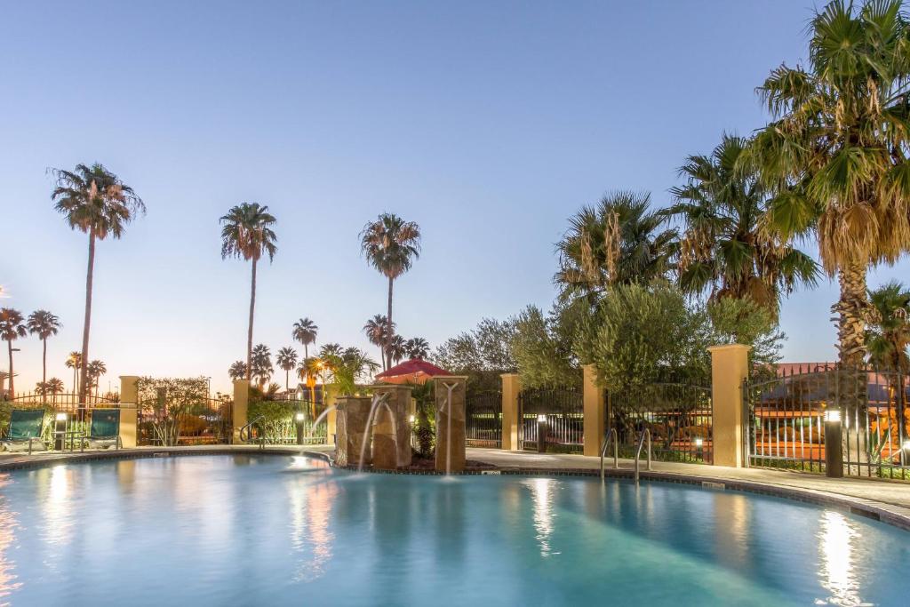 土桑图森机场万豪广场套房酒店的度假村内一座种有棕榈树的大型游泳池