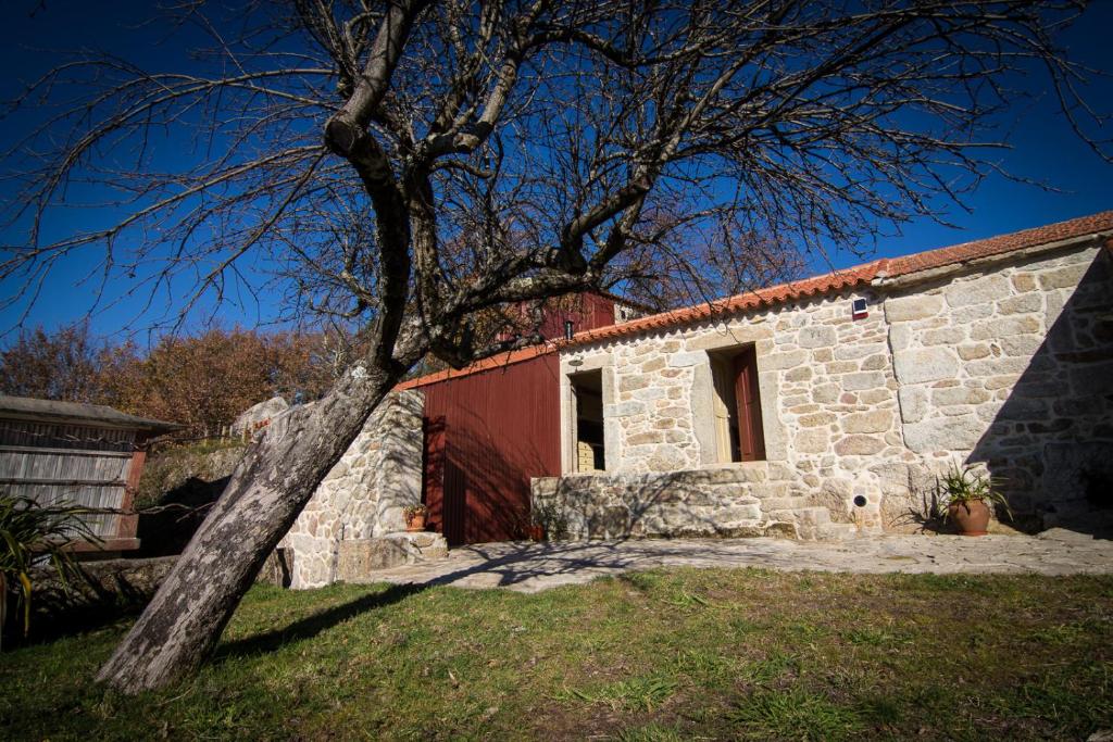 瓦莱迪坎布拉Casas dos Avos的前面有棵树的石头房子