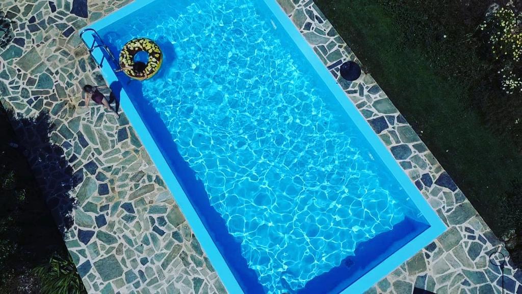 阿基欧斯尼古拉斯Villa Edna Crete的蓝色游泳池的顶部景色,设有躺椅