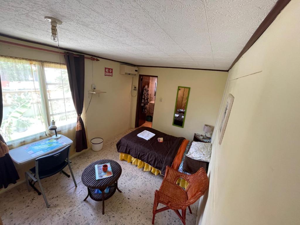 奥拉涅斯塔德Aruba Backpackers的一间卧室配有一张床、一张桌子和一个水槽