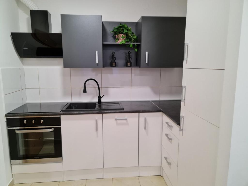 奥西耶克Apartman Vinyl - self chek-in的白色的厨房配有白色橱柜和水槽