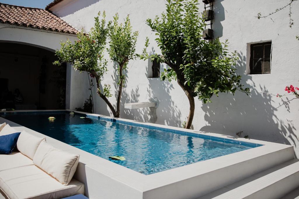 维迪盖拉Casa Pereirinha \ Pateo House的一座房子后院的游泳池