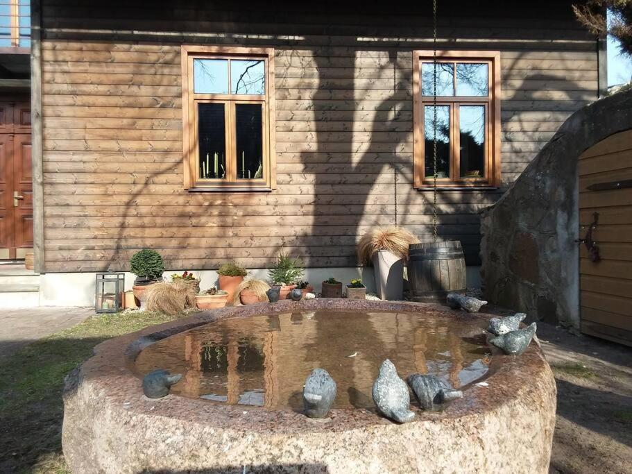 恩古雷Pirts māja的一座石头喷泉,在一座建筑前有鸟儿