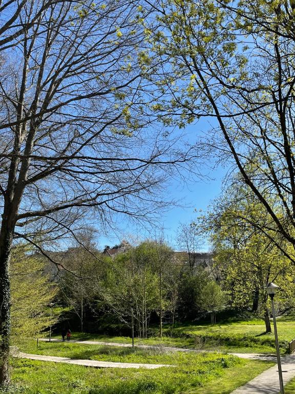 里摩日La Maison de l'Auzette的草木丛中的公园和小径