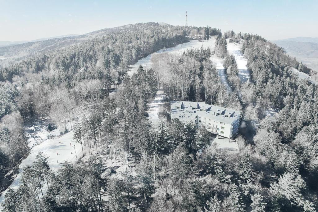 霍茨科波霍尔耶Apartma Pohorske terase Brumen Mariborsko Pohorje的享有高山的空中景色,山中被雪覆盖的树木覆盖