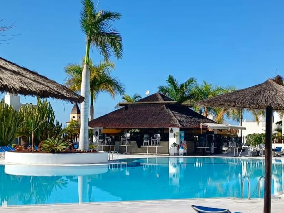 帕莱索海滩Apartamento Dhanvantari en Adeje Paradise的棕榈树度假村的游泳池