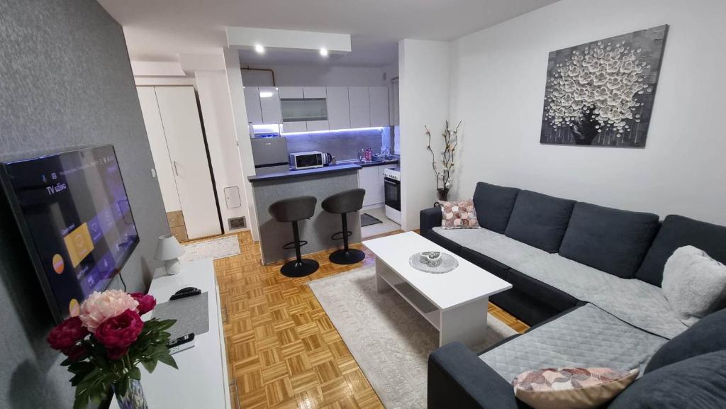 萨拉热窝Aya apartment Sarajevo的一间带蓝色沙发的客厅和一间厨房