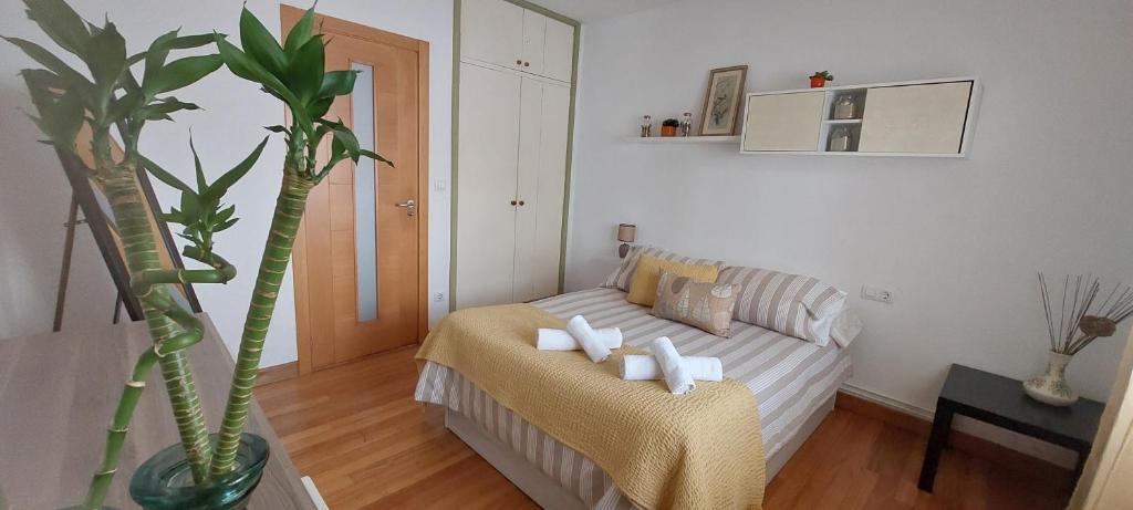 圣地亚哥－德孔波斯特拉Rúa dos Concheiros, 7 Apartamento的带沙发和植物的客厅
