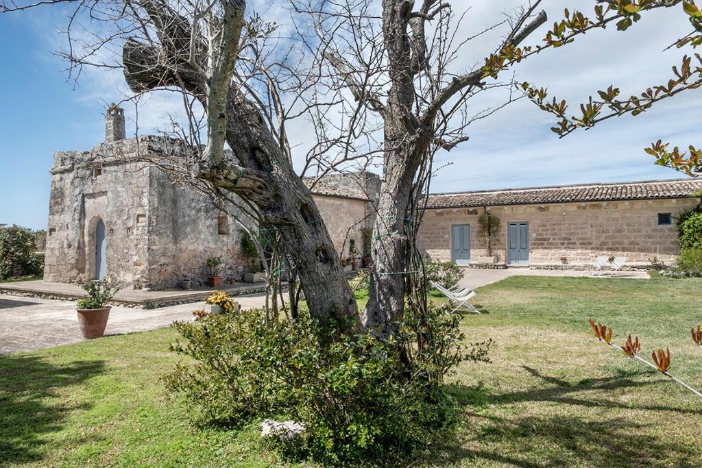 梅伦杜尼奥Masseria Berzario的一座老石头建筑,在院子里有树