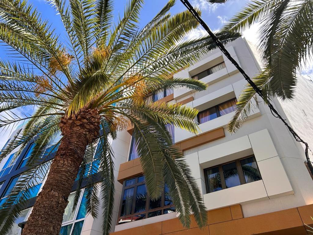 大加那利岛拉斯帕尔马斯HJS Guest House - The majestic Loft的一座建筑前的棕榈树