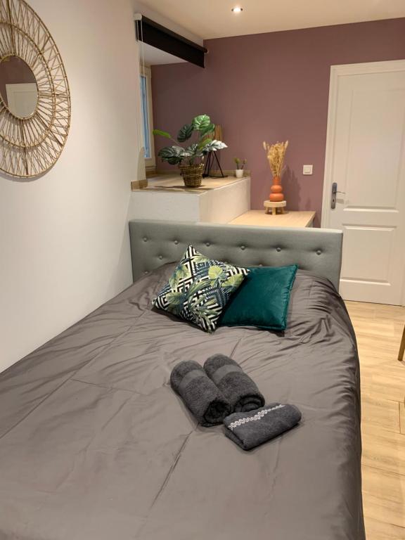 凯泽贝尔Studio cosy Kaysersberg centre的一张带两个枕头的床和两条毛巾